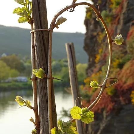 公寓 Kleines Nicole 皮斯波特