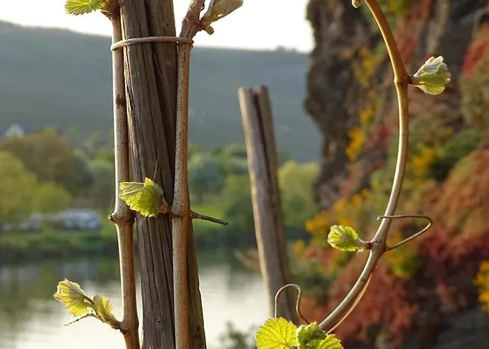 דירה Kleines Nicole פיספורט