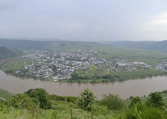 Kleines Nicole דירה